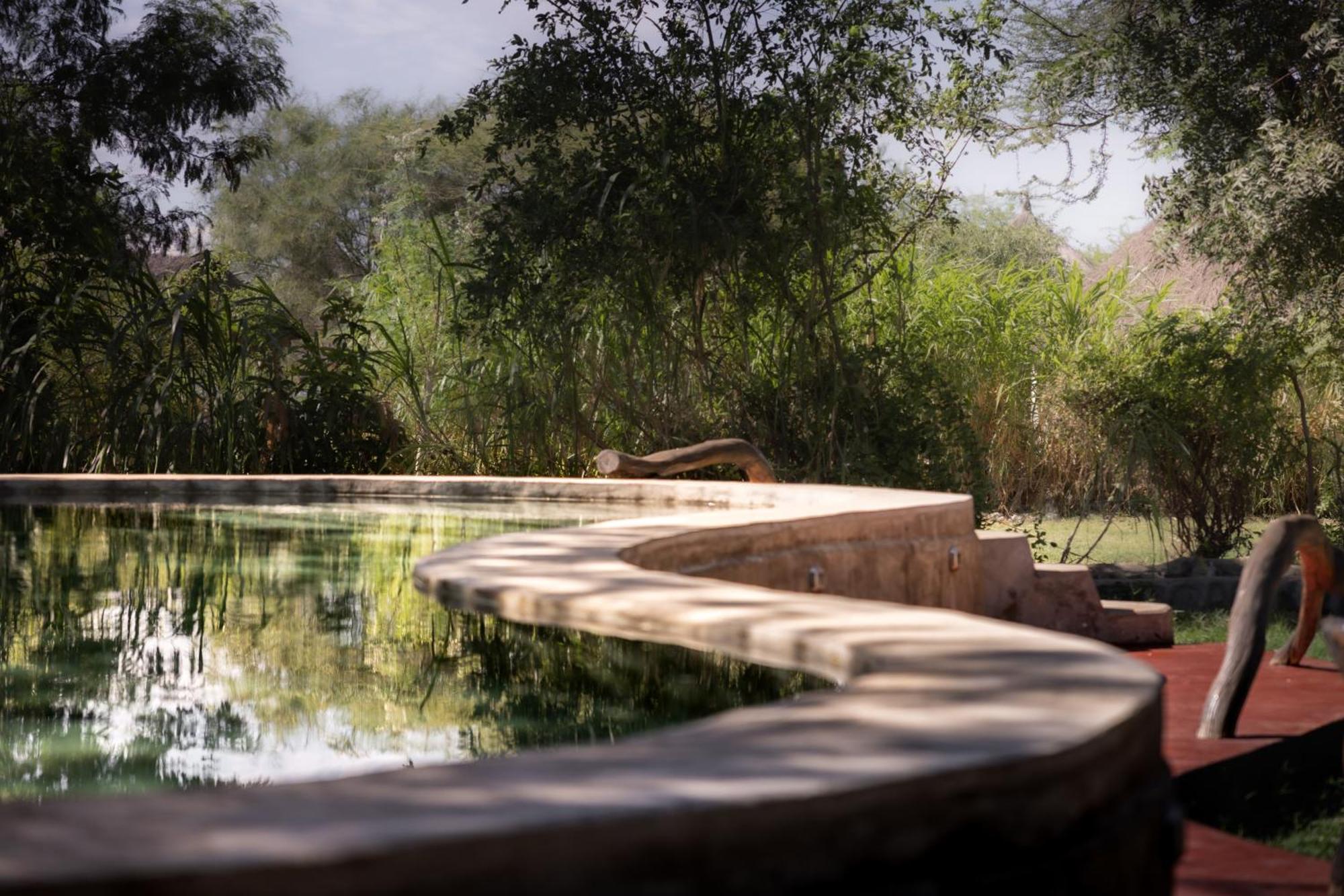 Lake Natron Maasai Giraffe Eco Lodge And Camping Mtowabaga エクステリア 写真